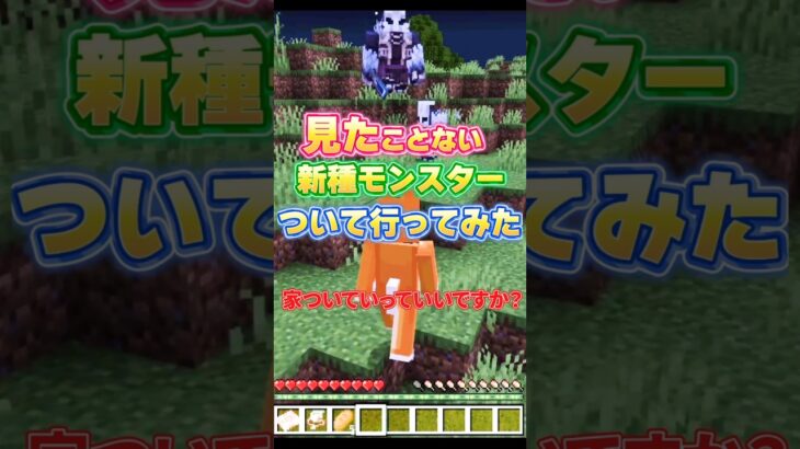 モンスターを見つけたから家、ついて行っただけなのに大惨事！ #マイクラ #マインクラフト実況