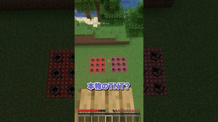 どれが本物？🤔 #マイクラ