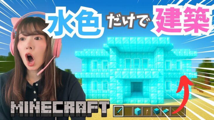 【マインクラフト】一色縛りでだけでマイクラやったら凄い家できた！！！【サナクラ】