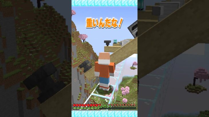 どっちがおもい？🤔 #マイクラ