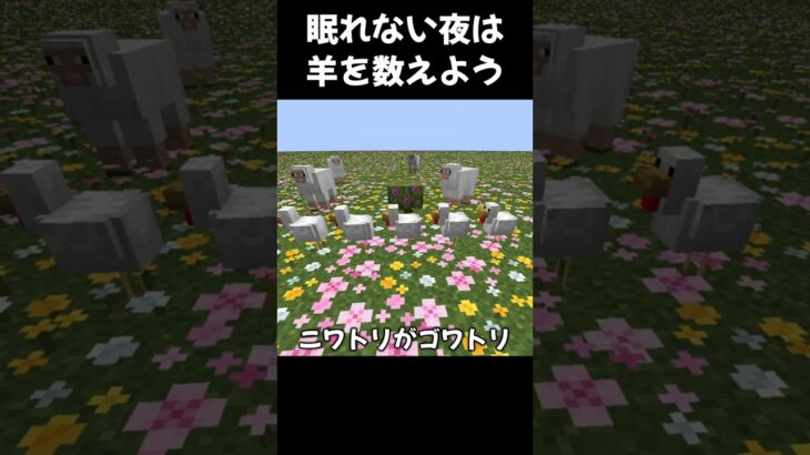 眠れない夜は羊を数えよう【マイクラ】