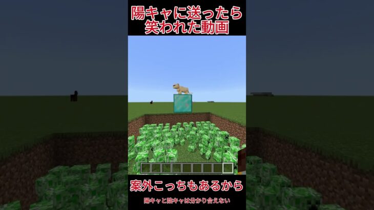 【マイクラ】陽キャに送ったら笑われた動画 #マイクラ #インキャ