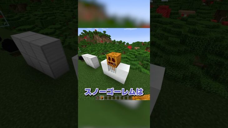 意味不明なマイクラの秘密🤐 #マイクラ