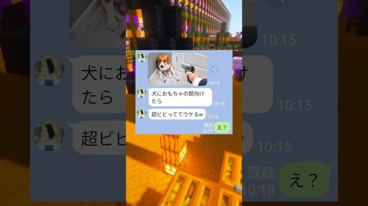 犬に拳銃を向ける女の末路ｗｗｗ #マイクラ #スカッと