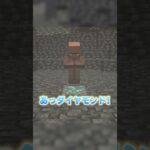 村人を助けた結果… #マインクラフト #マイクラ #けなたろう