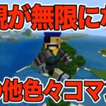 【マイクラ】暗視が無限になるコマンドと色々なコマンドまとめ