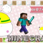 ちゃーすりんのマインクラフト～餅猫城建築🐱🍡