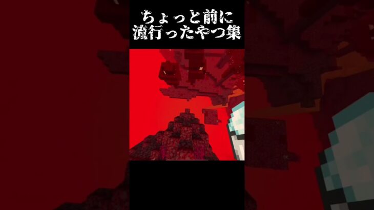 【第二弾】マイクラで流行った奴【マインクラフト】