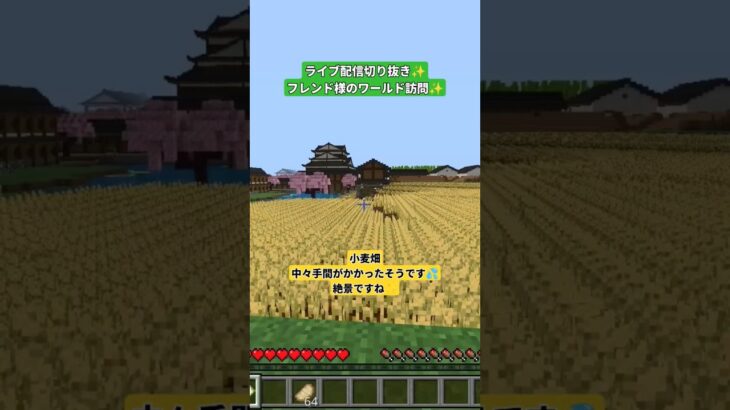 ✨️ライブ配信切り抜き✨️フレンド様ワールド訪問✨️#ライブ配信#マインクラフト#和風建築#城#癒し