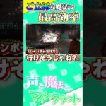 【マイクラ】ボスを瞬殺！？ご立派な魔法が強すぎるｗｗｗ #ステラフィルワールド【マインクラフト】