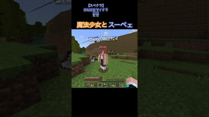 魔法少女とスーベェ #マイクラ #マインクラフト #ゲーム実況 #ゲーム実況者 #魔法少女 #魔法少女まどか #スペさん #スーベェ