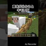 意味が分かるとキモい奴 #マイクラ