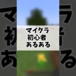 マイクラ初心者あるある【ゆっくり実況】【マインクラフト】