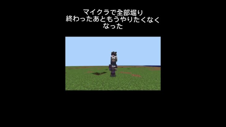 マイクラで全部堀り終わったあともうやりたくなくなった！#マイクラ