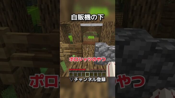 洗濯物の中が…【マイクラアスレ】