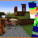 【マイクラ】巨大畑を作る