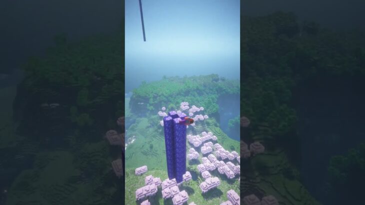 【コント】めっちゃ綺麗な絶景神シード値【茶番】#マイクラ #マインクラフト