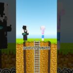 ダイヤを見つけた最悪の犯人 #マイクラ #マインクラフト #ぱちしゅう