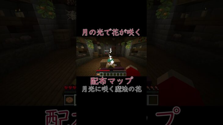 空飛ぶ箒で脱出‼ #ゲーム実況 #マイクラ #配布マップ #月光に咲く魔法の花