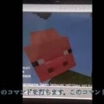 コマンドブロック入手方法