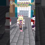 誰がババアですって？お姉さんでしょ！！！【ゆっくり茶番】【マイクラ】