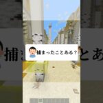 捕まったことありますか？#vtuber #マイクラ #minecraft