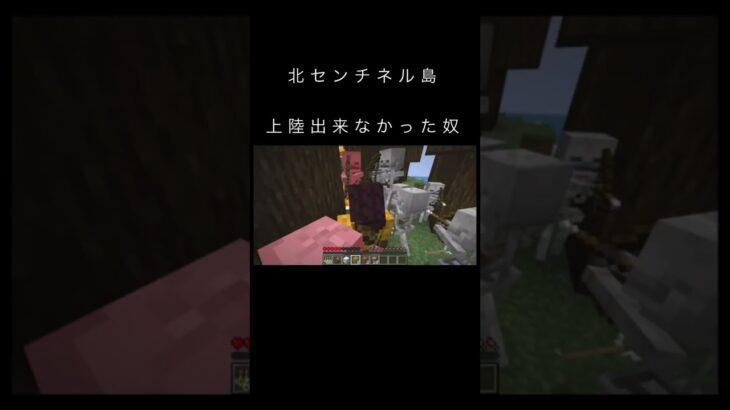 北センチネル島上陸出来なかった奴w#マイクラ #マインクラフト #minecraft #minecraftmemes #shorts