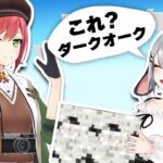 マイクラ高校部活動 withあかりせんぺー【あおぎり高校 新Minecraft】 #山黒音玄