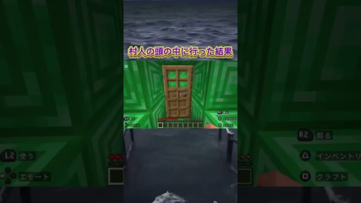 村人の頭の中に行った結果ww【マイクラ】#マイクラ #ネタ #しゅがー #のびろ