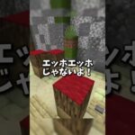 ｴｯﾎｴｯﾎ視聴者に食べれそうになる件ww #マイクラ #マインクラフト #vtuber