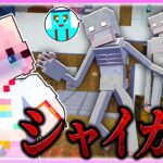 🌈都市伝説「シャイガイ」になって女の子の家を襲うドッキリwww 【まいくら / マインクラフト】