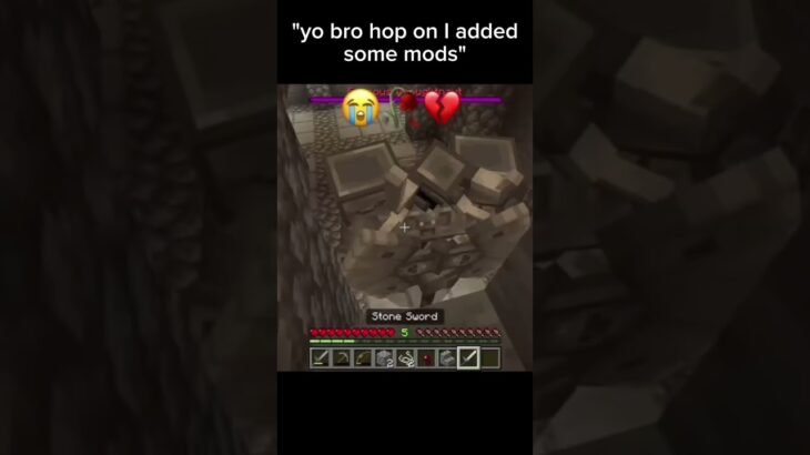 “yo bro hop on I added some mods” 😭🥀💔#minecraft #minecraftmemes