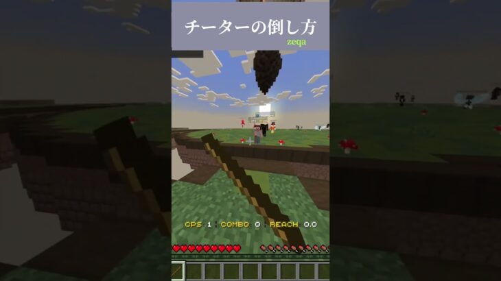 チーターの倒し方#マイクラ #zeqasumo #zeqa #hacker