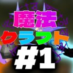 魔法が使えるマインクラフト！？！？魔法クラフト#1【マインクラフト】
