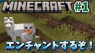 【マイクラ#1】初めてのエンチャント！これで合ってる??