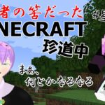 【#星ノ町 #1 】プレオープン！RPGってことは魔法が使えるってこと！？2【MINECRAFT】
