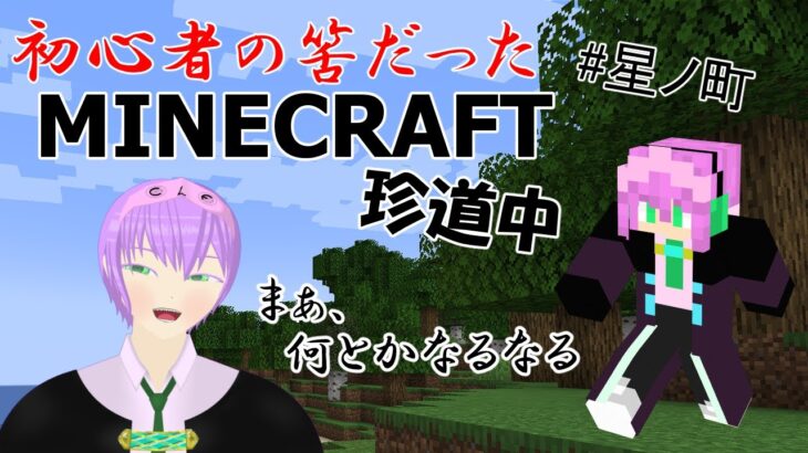 【#星ノ町 #1 】プレオープン！RPGってことは魔法が使えるってこと！？2【MINECRAFT】