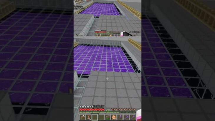 マイクラあるある「ゾンビピグリントラップのネザーゲートが1発でオフにならない。」 #マイクラ #マインクラフト #minecraft #ゾンビピグリントラップ #レッドストーン #shorts