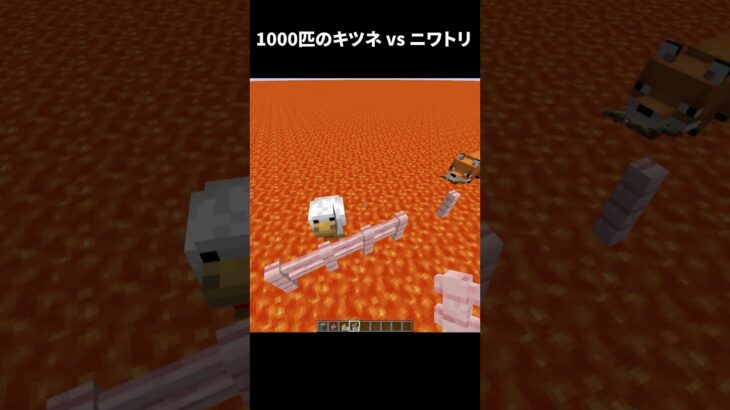 1000匹のキツネ vs ニワトリ #shorts #マインクラフト #マイクラ