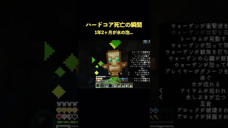 1年2ヶ月続いたハードコア…死亡の瞬間…【マイクラ】
