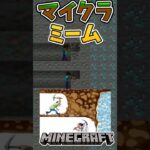 【マインクラフト】音源チェックしてね！マイクラで個人的に好きなミーム2選！#マイクラ #マインクラフト #minecraft