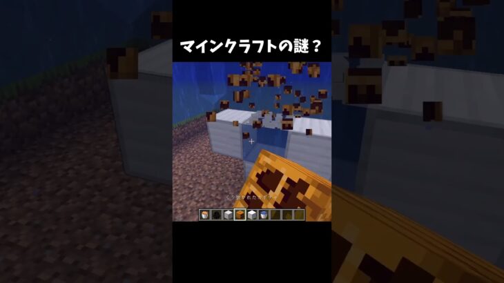マイクラの謎2#マイクラ #minecraft #shorts