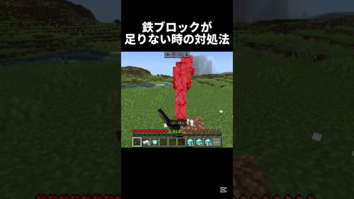 結末を予想できる人は多分いない #マイクラ #中学2年生 #minecraft #中学生 #マインクラフト #ゲーム #shots #810