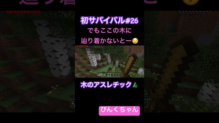 村はどこだー⁉️♯26#小学1年生  #minecraft #マイクラ #shorts #ショート  #iphone #ゲーム実況