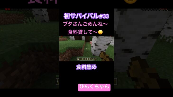 ランチタイム🍖♯33#小学1年生 #minecraft #マイクラ #shorts #ショート #iphone #ゲーム実況