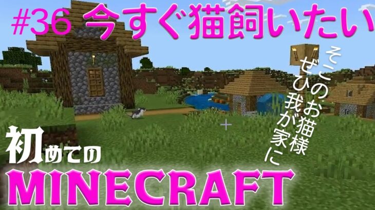 【マイクラ】家大変なことになった 36日目