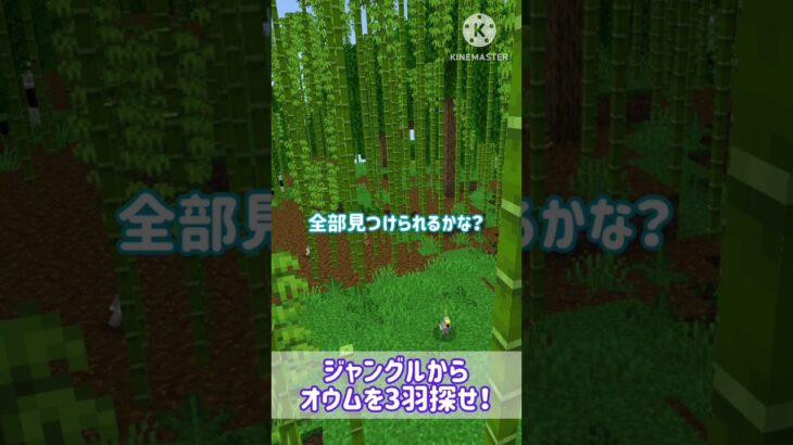 ジャングルからオウムを3羽探せ！#shorts #マイクラ #マインクラフト #minecraft #クイズ