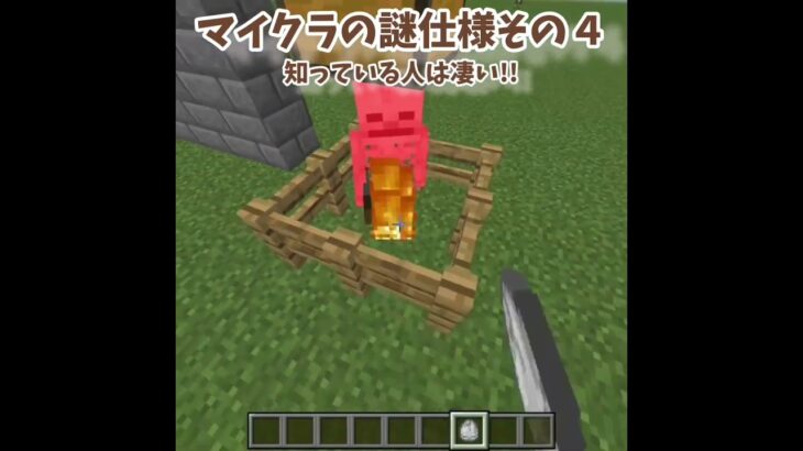 マイクラの謎仕様その4 ~知ってる人はすごい！~    #マイクラ #マインクラフト #minecraft #shorts