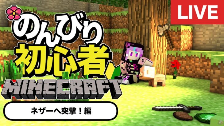 【マイクラ実況】エンチャントをしてみたい！のんびりマイクラ/4【新人VTuber】