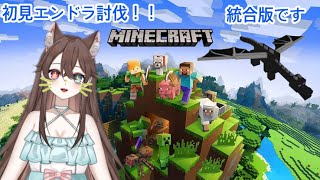 【マインクラフト】家の内装を考える時間！#6【雪埜鯛焼き】